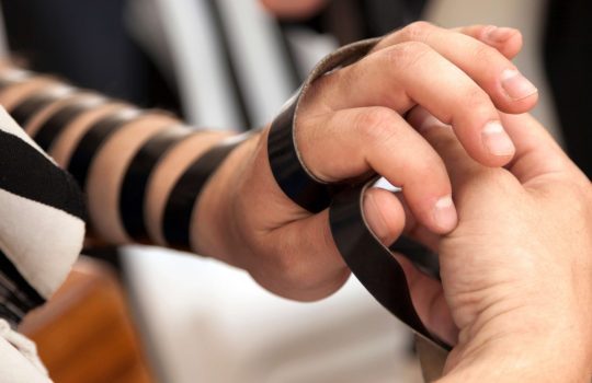 חנות תפילין2