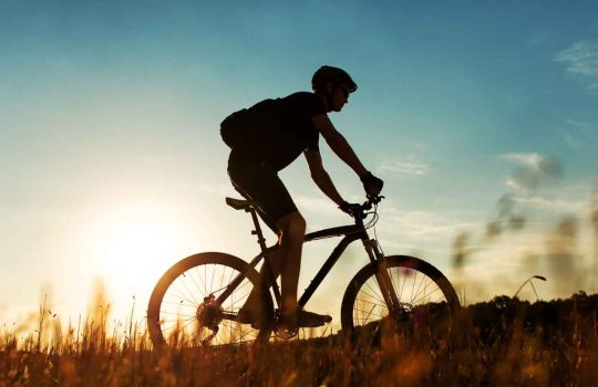 ייבוא ושיווק ביגוד לאופניים2