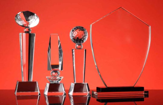 מגיני הוקרה2