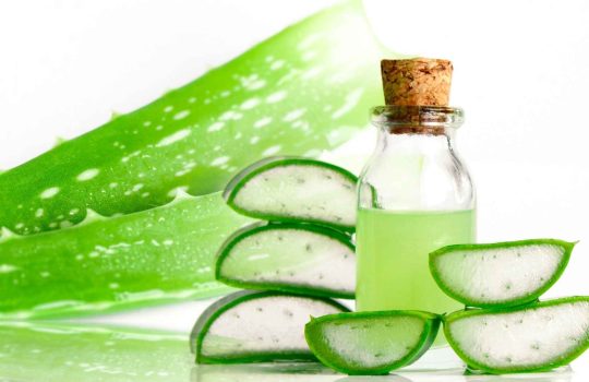 מוצרי אלוורה2